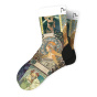 náhled Ponožky Alfons Mucha, vel. 39-42