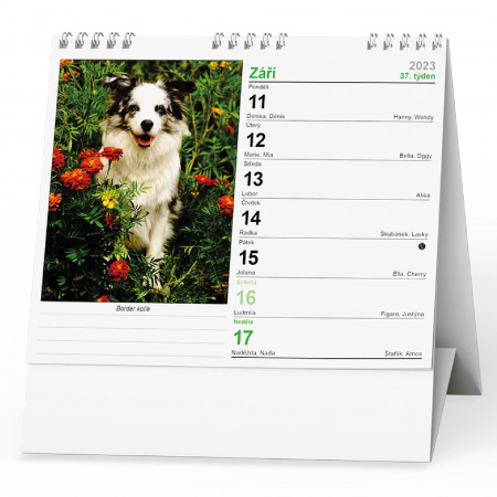 detail Kalendář stolní Ideal Pes věrný přítel