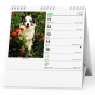 náhled Kalendář stolní Ideal Pes věrný přítel