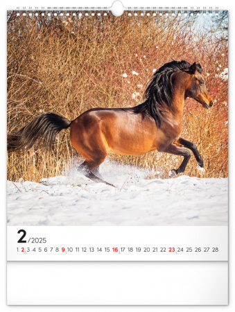 detail Nástěnný kalendář Koně 2025, 30 × 34 cm