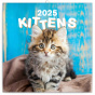náhled Poznámkový kalendář Koťata 2025, 30 × 30 cm