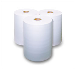 detail Polynex 28 mic. 0,315 x 2000 m, matt