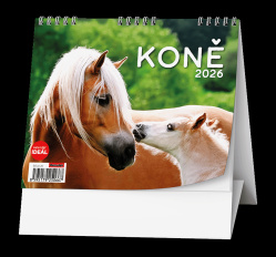 Stolní kalendář 2027 Koně