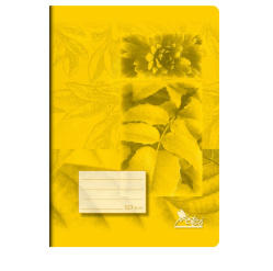 Sešit 523 A5 20 listů linka economy