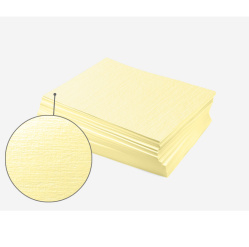 Papír na vizitky A4 185g ražba champ.