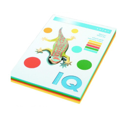 Kancel. papír A4 IQ Color mix 5x50 pastel