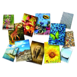 Záznamní kniha A4 čtvereček 96 listů