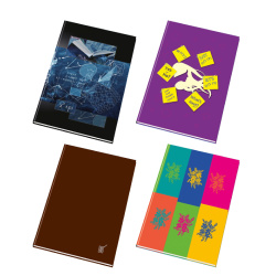 Záznamní kniha A4 linka 192 listů /E