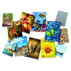 Záznamová kniha A4 96 listů linka /E