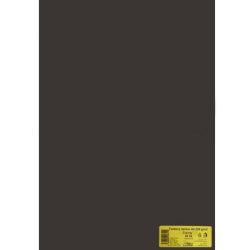 Karton kreslící A1 225g 20 listů černý /E