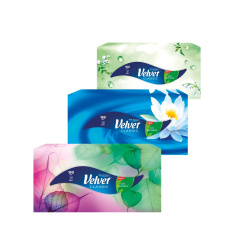 Kapesníčky papírové kosmetické dvouvrstvé Velvet Classic 100ks/E