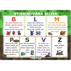 Vyjmenovaná slova A4 Playworld