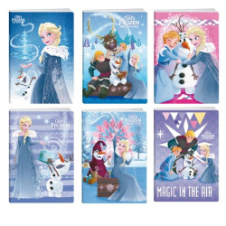 Sešit 524 A5 linka 20 listů Ledové království Flower