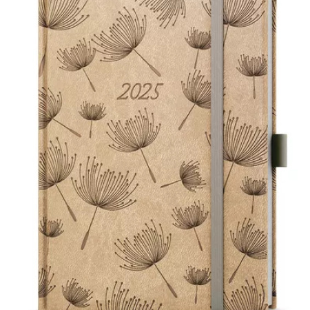 detail Diář 2026 týdenní B6 Prokop-Vivella Hvězdy béžový