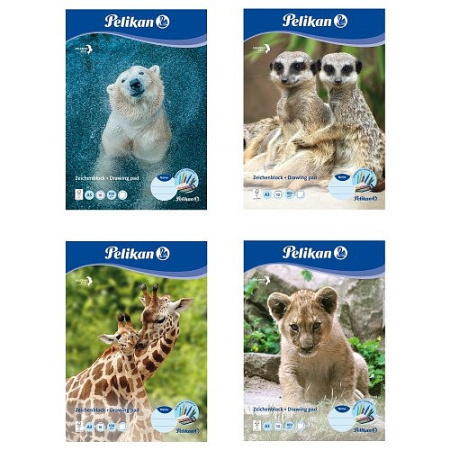 detail Blok kreslicí A3 Pelikan 10 listů