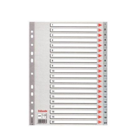 detail Rozlišovač plastový A4 1-20/E