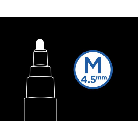 detail Popisovač akrylový Pilot Pintor M 10ks studené odstíny /E