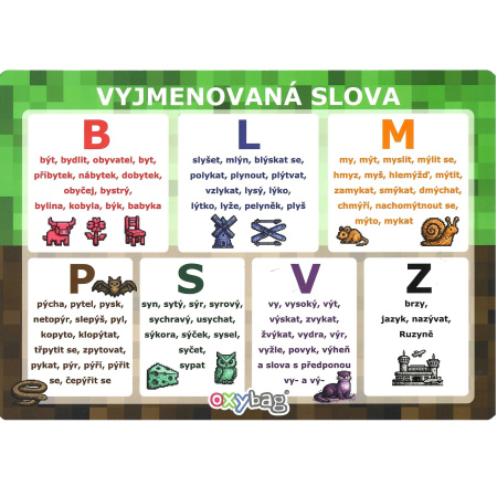 detail Vyjmenovaná slova A4 Playworld