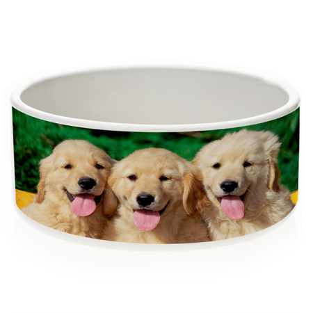 detail Miska pro psa SubliT