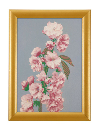 detail Zlatý kliprám s ostrými rohy 25 mm - A4