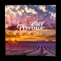 náhled Nástěnný kalendář 2027 Provence
