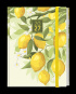 náhled Diář 2027 týdenní B6 Prokop-lamino Citrony