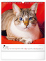 náhled NOTIQUE Nástěnný kalendář Kočky 2025, 30 x 34 cm