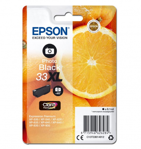 Cartridge Epson T 33XL photo černá
