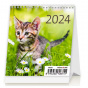 náhled Kalendář Mini Kittens