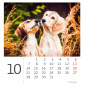 náhled Kalendář Mini Puppies