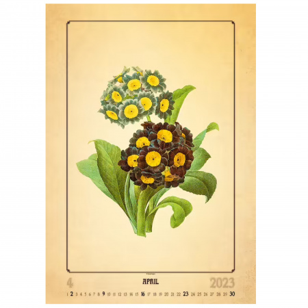 detail Kalendář Herbarium