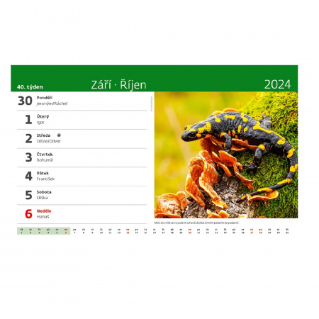 detail Kalendář Naše příroda