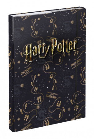 detail BAAGL Desky na školní sešity A4 Harry Potter Pobertův plánek