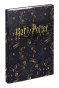 náhled BAAGL Desky na školní sešity A4 Harry Potter Pobertův plánek