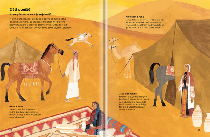 detail PROČ KONĚ NECHODÍ BOSÍ – Vše o koních