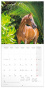 náhled Poznámkový kalendář Koně – Christiane Slawik 2025, 30 × 30 cm