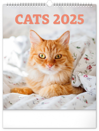 Nástěnný kalendář Kočky 2025, 30 × 34 cm