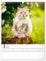 náhled Nástěnný kalendář Kočky 2025, 30 × 34 cm